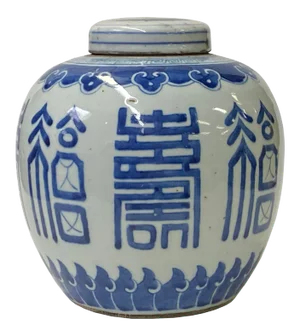 Hand-Paint Fok Longevity Characters Blue White Porcelain Ginger Jar