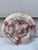 English Victorian Majolica Oyster Plate, Circa 1890 For Sale - Image 4 of 4