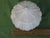 The Light Shade Frosted Glass Vintage Empire is a medium-sized antique light shade from the 1920s, made of white glass in...
