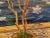 Avel, Cadaques, 2023, Oil on Canvas, Framed For Sale - Image 4 of 7