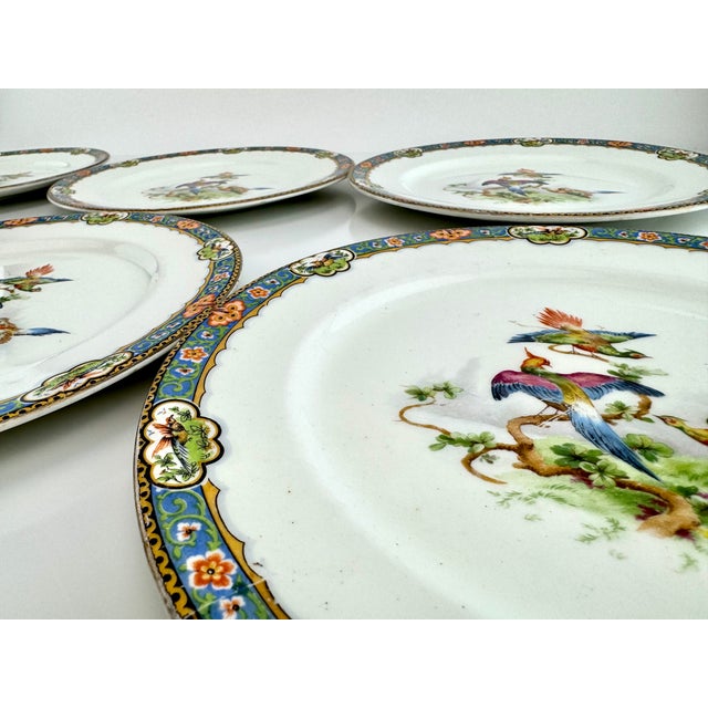 1920's John Maddock & Sons “Royal Vitreous” Bird Plates, Set of 6 For Sale - Image 10 of 12