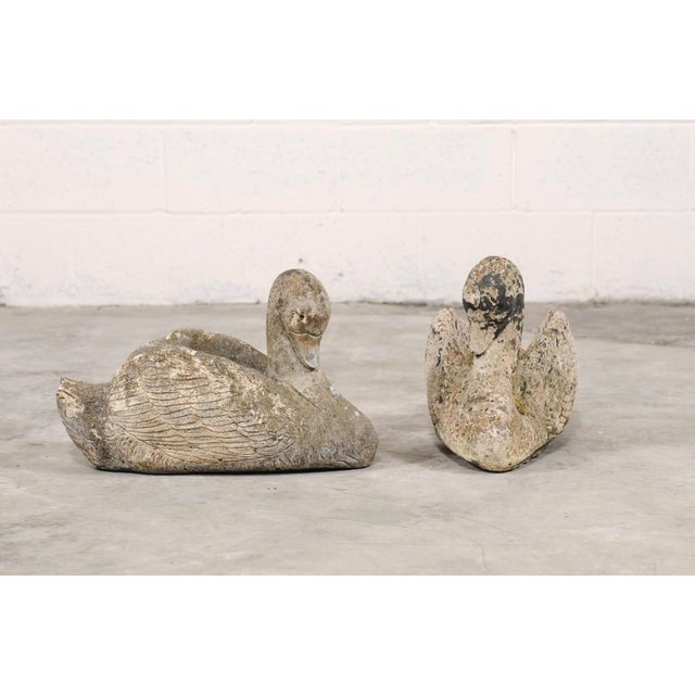 A charming pair of antique stone swan planters, beautifully sculpted with softly stylized wings and gently curved necks....