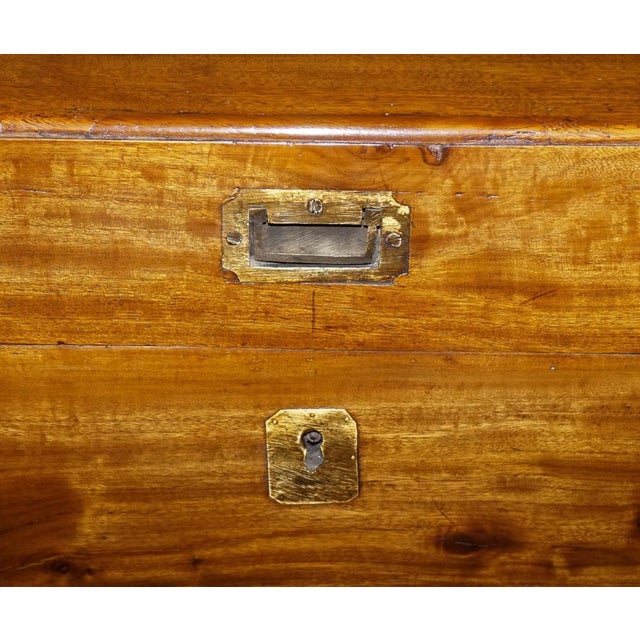 Wood Antique English Camphor Wood Storage Trunk, 19th Century For Sale - Image 7 of 18