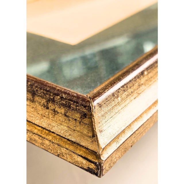 After W. Hart & HC Richter, Thalurania Refulgens and Hylonympha Macrocerca, 1800s, Hand-Colored Lithographs, Set of 2 For Sale - Image 11 of 18