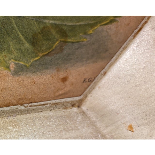 Mid 20th Century Vintage Botanical Tole Tray With Chestnut Motif - “Castanea Sativa” For Sale - Image 5 of 5