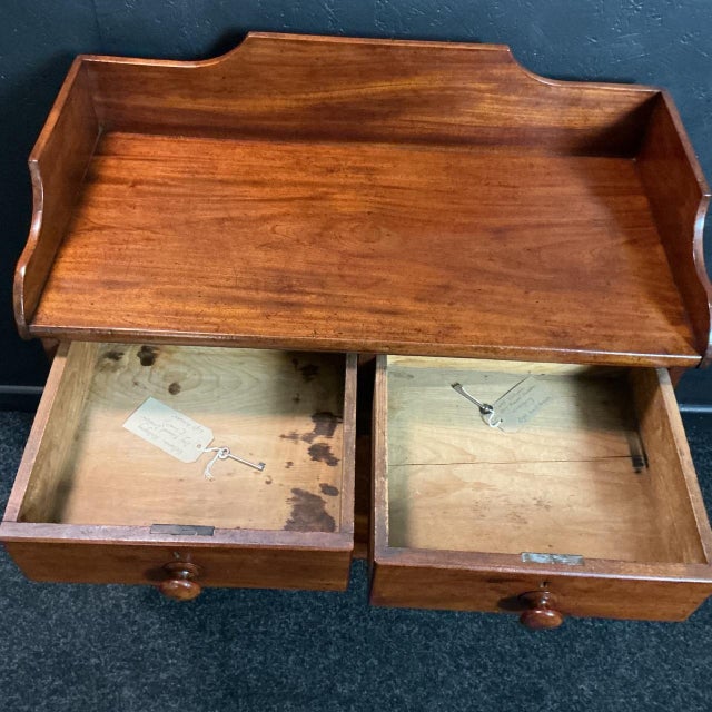 Victorian Dog and Cat Kennel Dresser, 1870 For Sale - Image 4 of 8