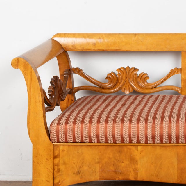 Karl Johan 19th Century Swedish Karl Johan Birch Bench For Sale - Image 4 of 18