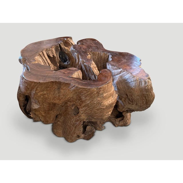 2010s Andrianna Shamaris Organic Teak Wood Coffee Table or Pedestal For Sale - Image 5 of 6