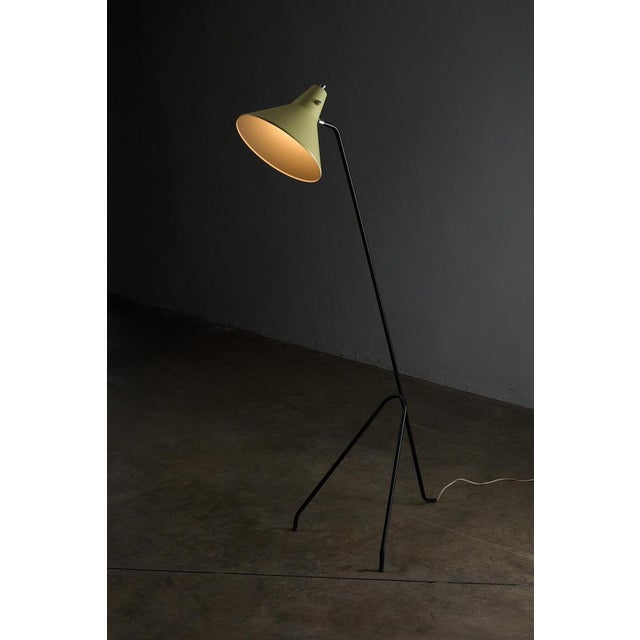 Vintage Grasshopper Tripod Floor Lamp by Willem Van Doorn, 1960s For Sale - Image 4 of 9