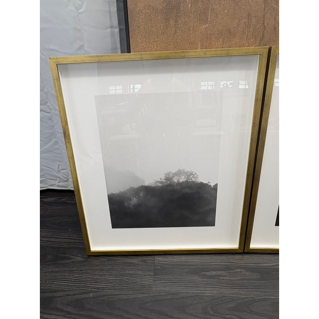 Ivory Rh Kate Schermerhorn “Hidden Detail” Art Collection – Complete Set of 4 For Sale - Image 8 of 18