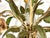 Vintage Tole 6-Light Chandelier With Flower Motif and Honest Patina For Sale - Image 10 of 18