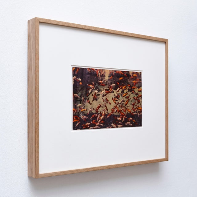 Contemporary Mouth of Krishna 128 Print by Albarran & Cabrera, 2013 For Sale - Image 3 of 10