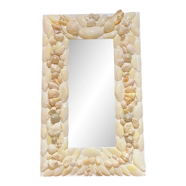 Sophisticated and Chic Seashell Mirror 14" X 24" For Sale
