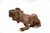 1960s Sirio Pellegrini, Lion, 1960s, Terracotta For Sale - Image 5 of 5