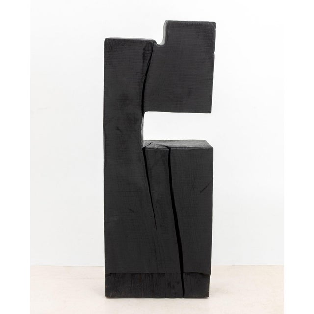 Nerone Ceccarelli (Italian, 1937-1996) and Gianni Patuzzi (Italian, 1905-1977) "NP2 Forme e Superici" Ebonized Walnut...