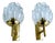 Vintage Glass and Brass Sconces from Fischer Leuchten, 1960s, Set of 2 For Sale