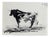 Pablo Picasso, Bull, 1961, Lithograph For Sale