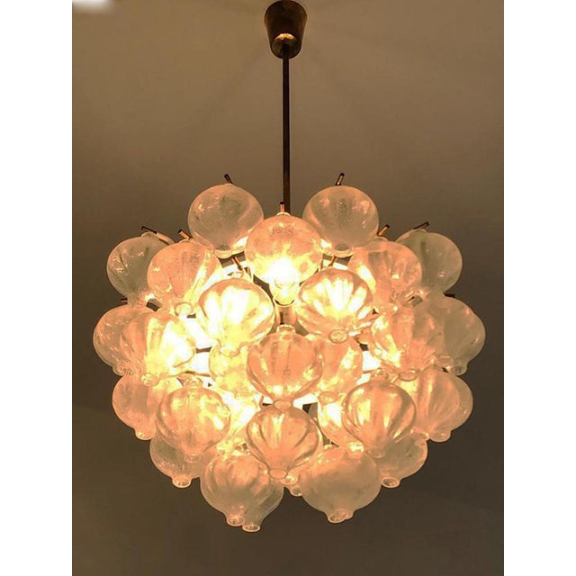 1960s Mid-Century Austrian Blown Glass Tulip Chandelier attributed to J.T. Kalmar, 1960s For Sale - Image 5 of 7