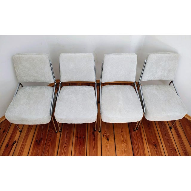 Bauhaus Dining Chairs attributed to Hynek Gottwald, Czechoslovakia, Set of 4 For Sale - Image 10 of 14