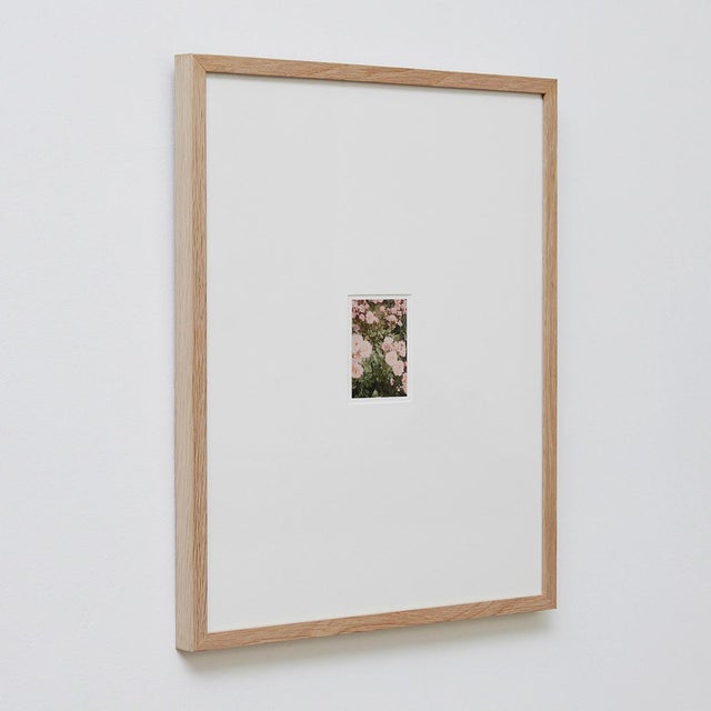 Paper The Rose Garden Nº 33 Print by David Urbano, 2018 For Sale - Image 7 of 9