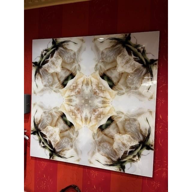 Wendover Art Squash Blossom Kaleidoscope Printed on Glass, Frameless and Equipped with Ability to Hang.