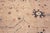 Nazmiyal Collection Contemporary Turkish Oushak Design Floral Area Rug For Sale In New York - Image 6 of 6