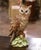 Mid 20th Century Mid 20th Century Mid-Century Italian Hand Painted Glazed Ceramic Owl Sculpture With Foliage Base For Sale - Image 5 of 9