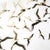 Wall Sculptures, Set of 25 For Sale - Image 12 of 13