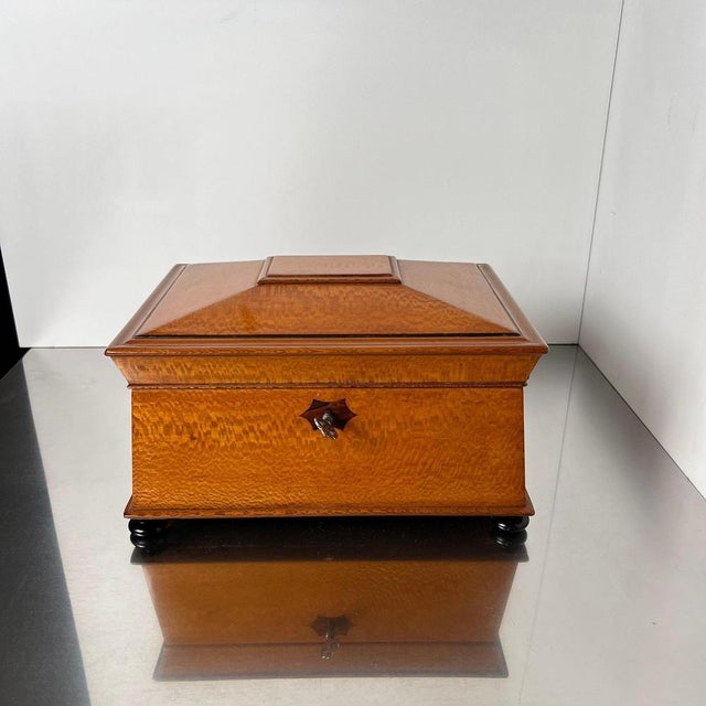 Historicism Box in Floral Ash Veneer and Rosewood, Austria, 1880s For Sale - Image 3 of 18