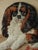 Textile Large Framed 19th Century Folk Art Woolwork of a King Charles Spaniel on a Cushion For Sale - Image 7 of 15