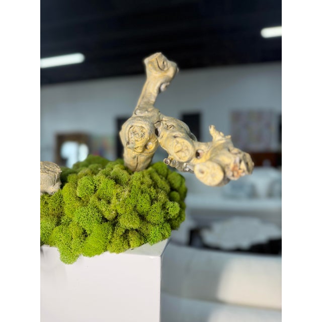 Botanical mix floor arrangement designed as a lush, statement-making display of natural greenery and sculptural elements....
