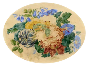 After William 'Quaker' Pegg, Tulip & Morning Glory, Mid-19th Century, Watercolour