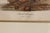 Pair of Ornithological Prints from 'Report on the Birds of Pennsylvania' For Sale In Philadelphia - Image 6 of 12
