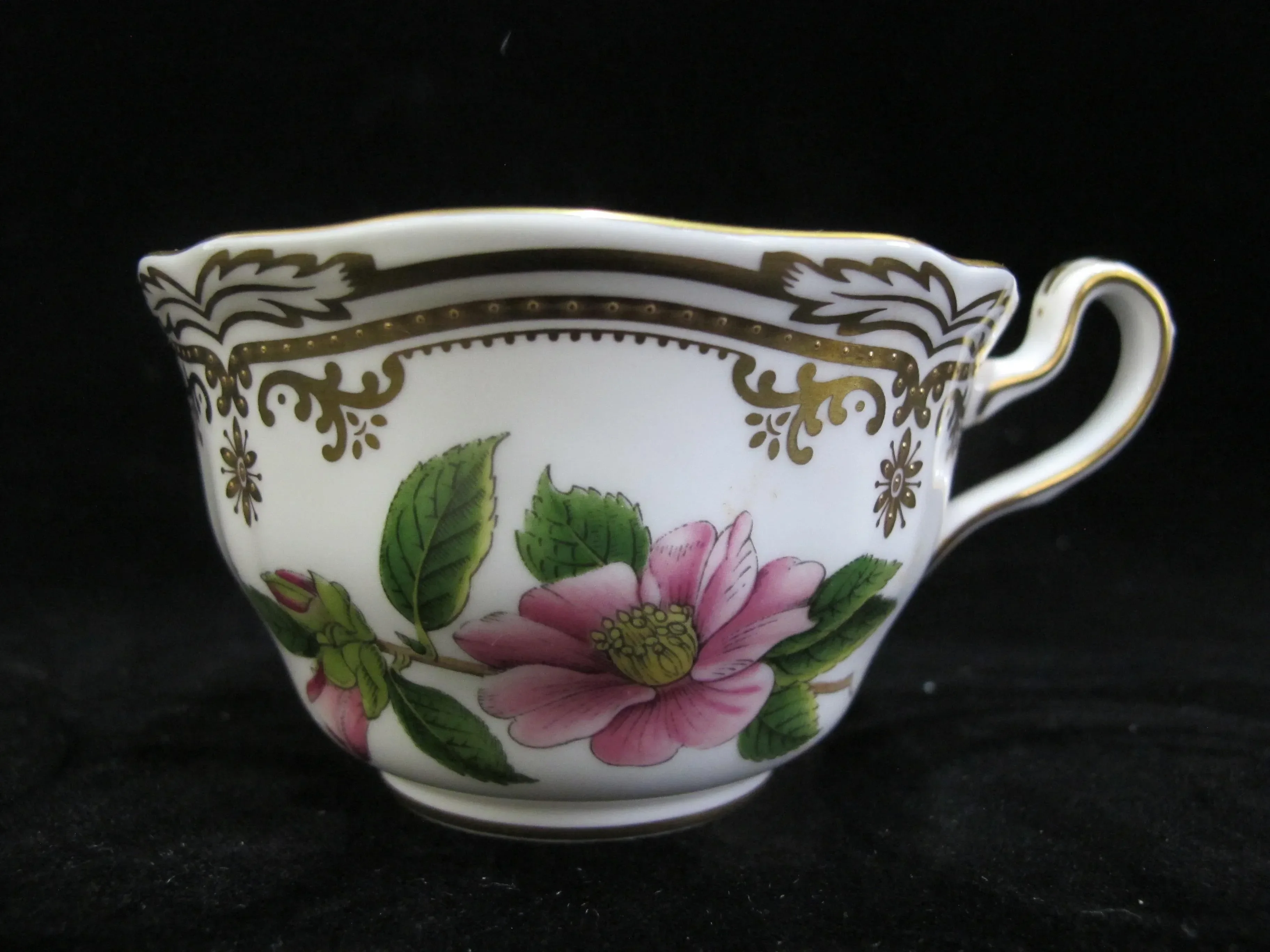 Spode Stafford Flowers Oxalis Thumberia Camellia Oxalis Cup