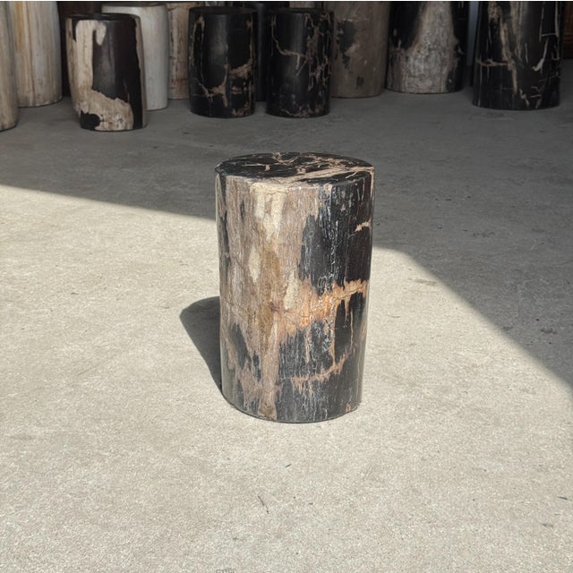 Small Side Table in Black Petrified Wood with Beige Striations, 1980s For Sale - Image 15 of 18