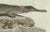 Bertuch, American Crocodile and Gharial, 1802, Engraving For Sale - Image 3 of 10