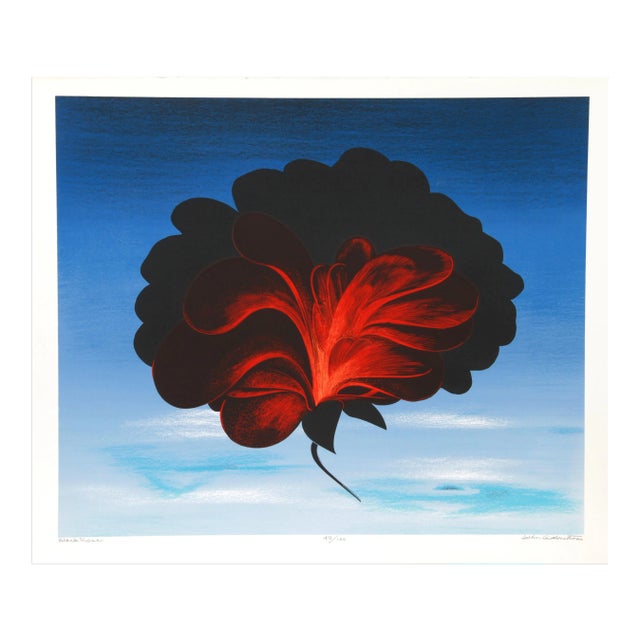 John Cedarstrom, "Black Rose", Serigraph For Sale