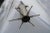 Vintage Glass Pendant Lamp by Carlo Nason for Mazzega, 1970 For Sale - Image 3 of 13