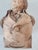 Terracotta bust of French Revolutionist Georges Danton. French neoclassical late 18th century.
