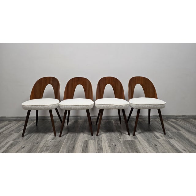 Dining Chairs from Antonin Suman, 1960s, Set of 4 For Sale - Image 9 of 10