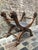 18th Century Italian Carved Walnut Stool For Sale - Image 4 of 11
