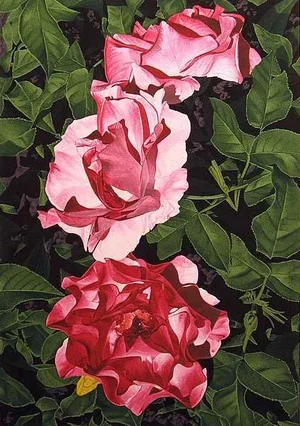 Dallas John "Three Roses" Original Hand Signed Realistic Floral Serigraph Unframed, 1980