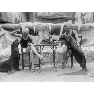 Animal Friends' Contemporary Archival Black and White Photograph Print From the Original Negative by Getty - 30x40 For Sale