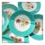 1940s Rare Set of Hand-Painted Minton Floral Dinner Plates With Aqua Band and Gilt Rim // Signed by Artist J Colclough // Set of 9 For Sale
