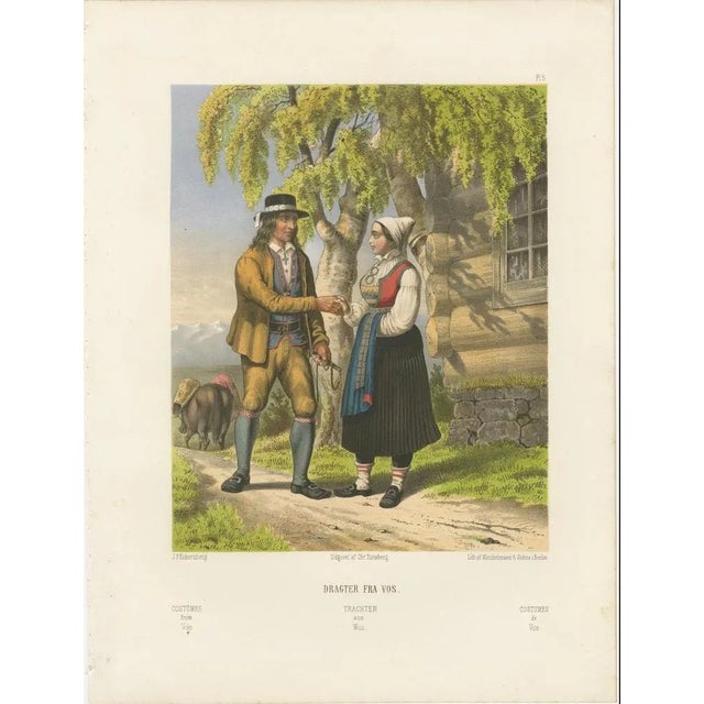 This richly detailed 19th-century chromolithograph illustrates traditional male and female costumes from Vos, today known...