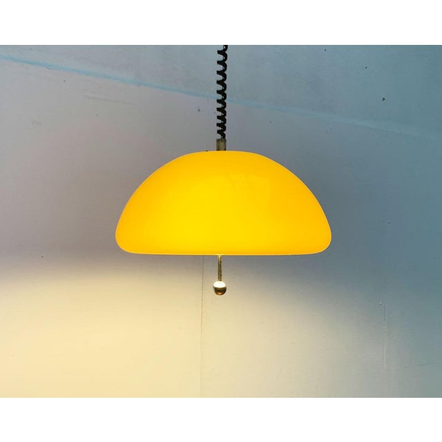 Mid-Century Modern Mid-Century Space Age Cabras Pendant Lamp by Luigi Massoni for Guzzini, 1960s For Sale - Image 3 of 18