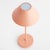 Alluna Cordless LED Lamp is made to effortlessly go anywhere that needs light, no outlet needed. Choose from 3 light...