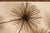 Curtis Jeré Mid Century Modern Urchin Wall Sculpture For Sale In Philadelphia - Image 6 of 18