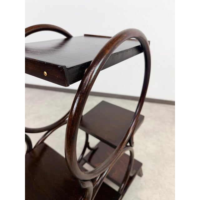 1910s Vienna Secession 4-Tier Bentwood Plant Stand from Thonet, 1910 For Sale - Image 5 of 10