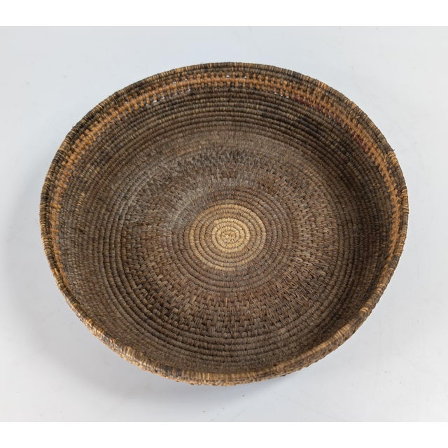 Wood Early 20th Century Southwest Native American Indian Coiled Basket, Pima or Papago For Sale - Image 7 of 13
